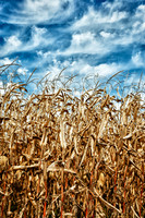 Landscapes-photos